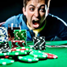 Kaktuz Casino